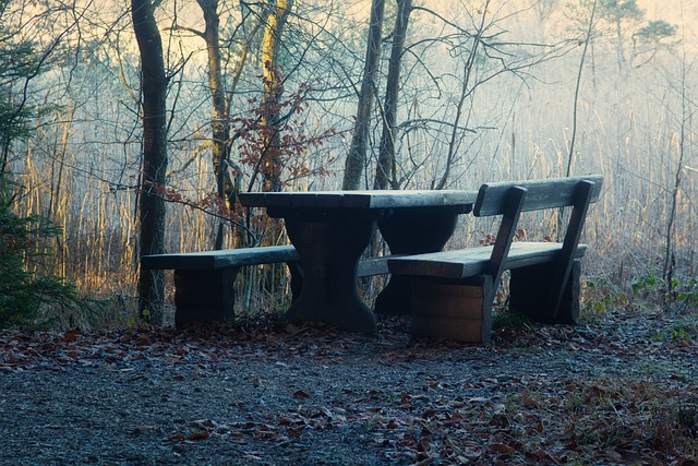 棋局