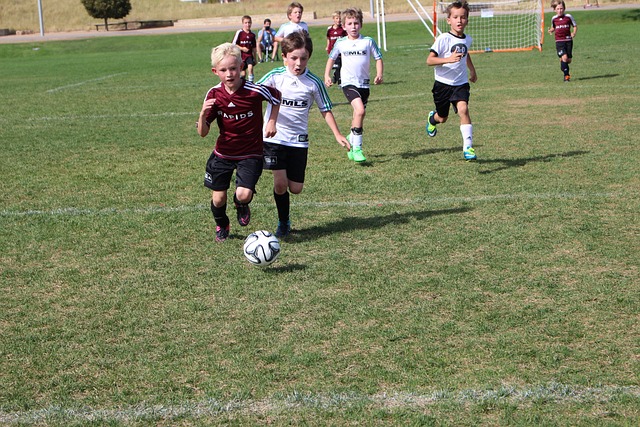 火箭队的这 火箭队的这