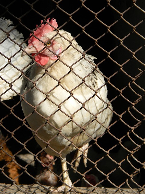 唯有通过 唯有通过