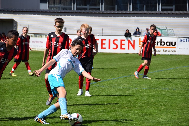 球比赛的核 球比赛的核