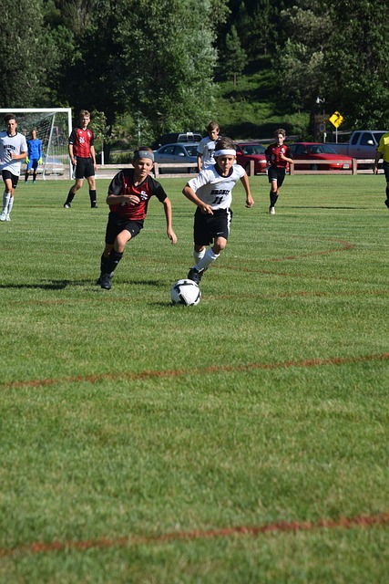 一定优势 一定优势