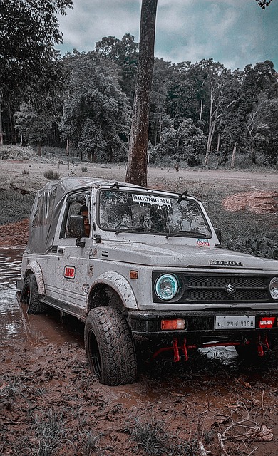 除了博洛尼 除了博洛尼