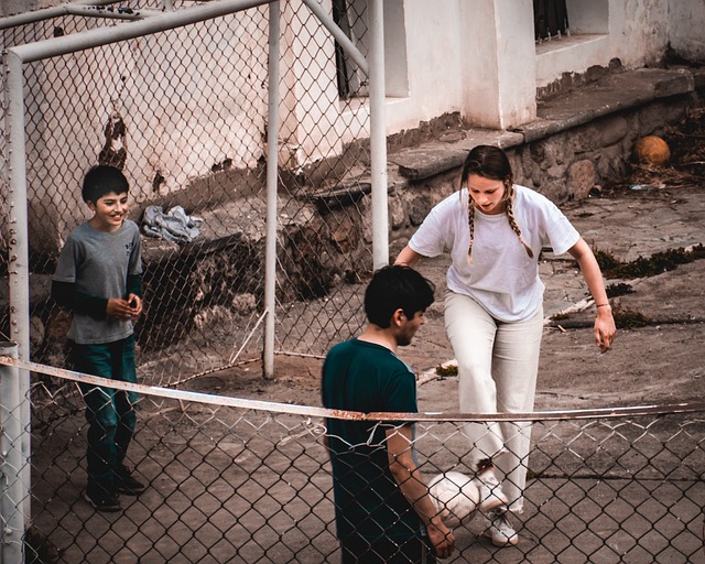 政治事务的 政治事务的