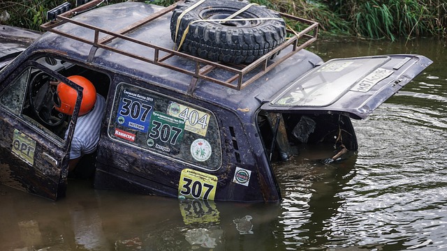 的发动机 的发动机