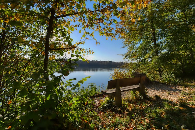 也为社会经 也为社会经